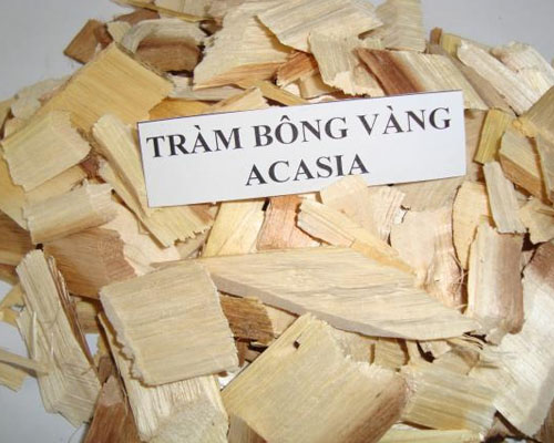 gỗ tràm bông vàng - Công Ty TNHH MTV Lê Linh